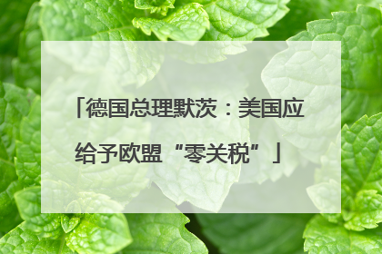 德国总理默茨：美国应给予欧盟“零关税”